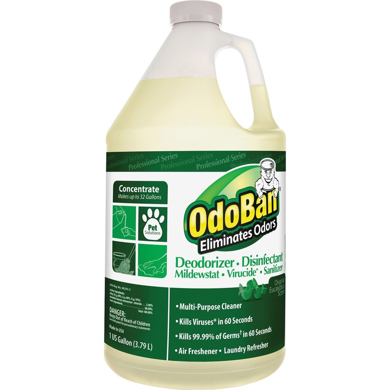 OdoBan Eucalyptus Multi-purpose Deodorizer Disinfectant Concentrate – ODO911062G4