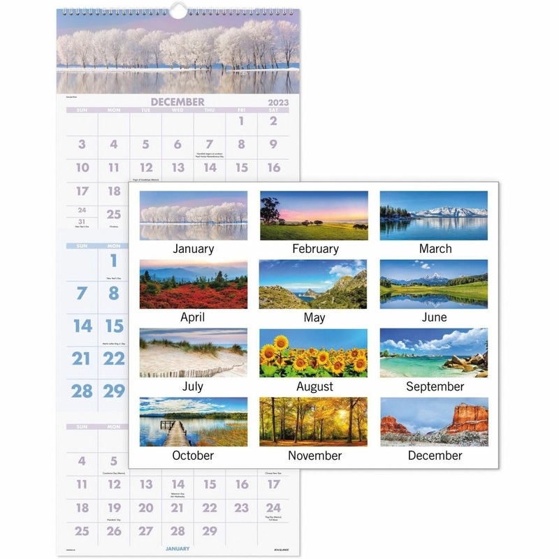 At-A-Glance Scenic Design 3-month Wall Calendar – AAGDMW50328