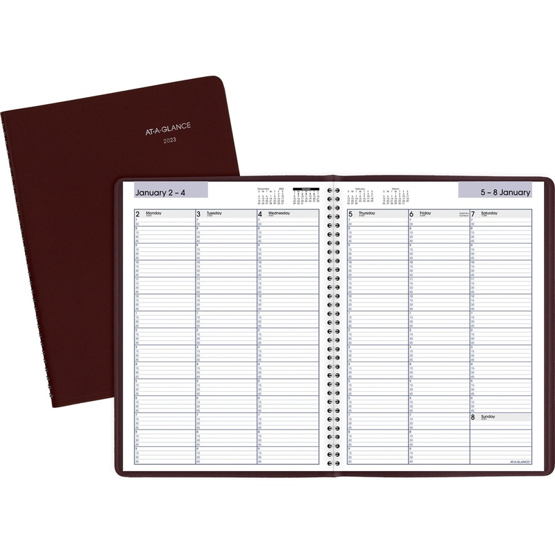 At-A-Glance DayMinder Weekly Appointment Book – AAGG52014