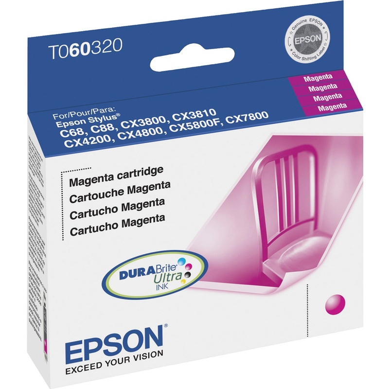 Epson DURABrite Original Ink Cartridge – EPST060320S
