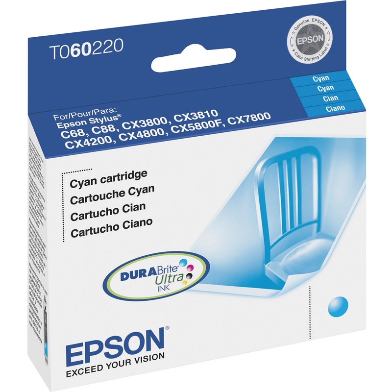 Epson DURABrite Original Ink Cartridge – EPST060220S