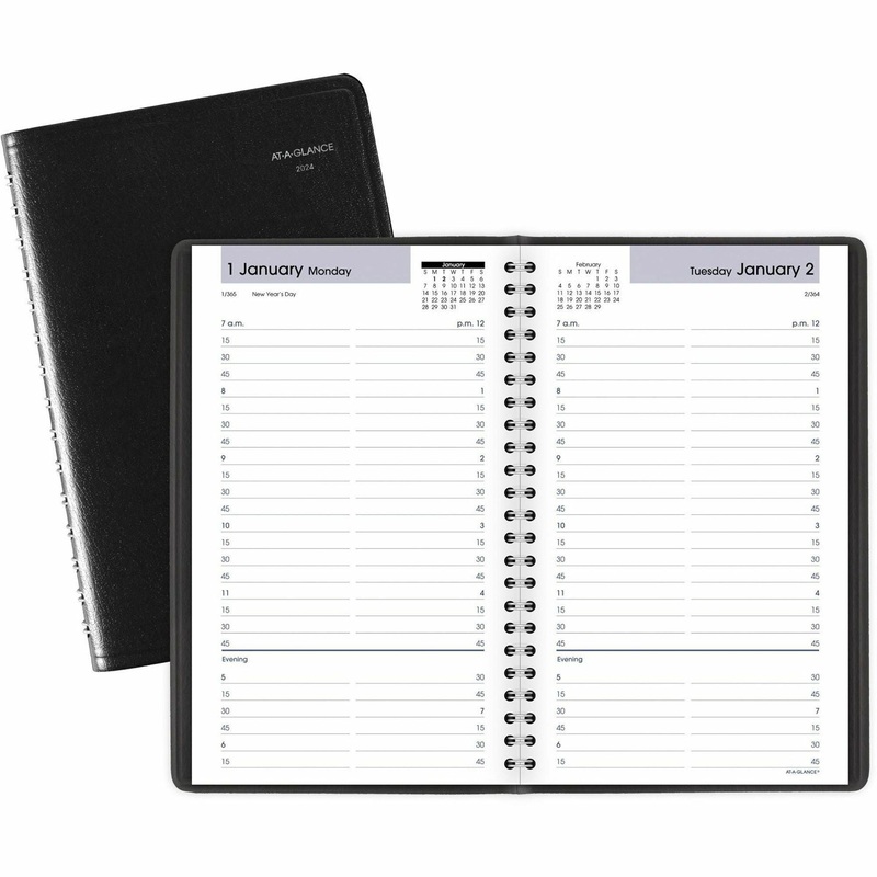 At-A-Glance DayMinder Daily Appointment Book – AAGG10000
