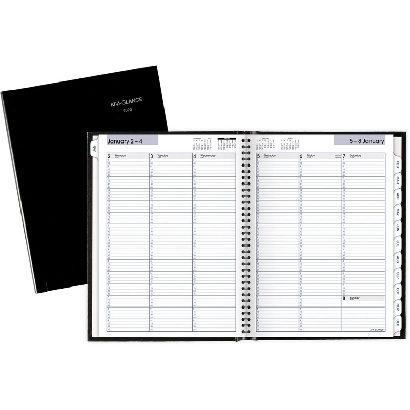 At-A-Glance DayMinder Hardcover Weekly Appointment Book – AAGG520H00