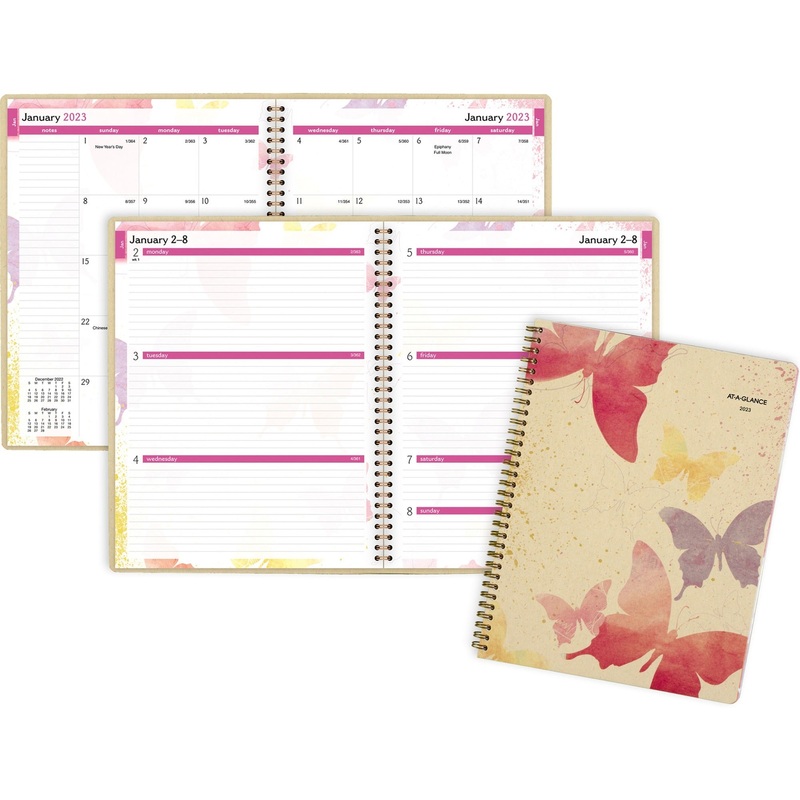 At-A-Glance Watercolors Weekly/Monthly Planner – AAG791905G