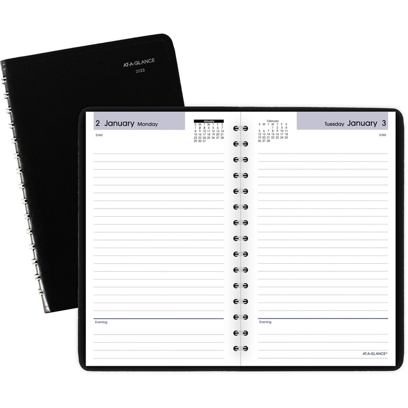 At-A-Glance DayMinder Daily Planner – AAGSK4600