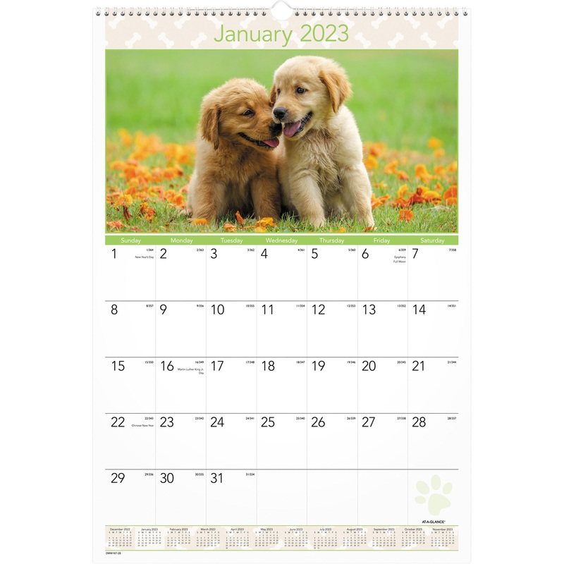 At-A-Glance Puppies Monthly Wall Calendar – AAGDMW16728
