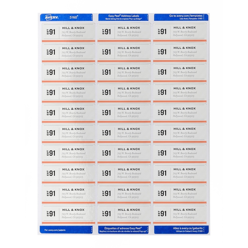 Avery TrueBlock White Shipping Labels – AVE95915
