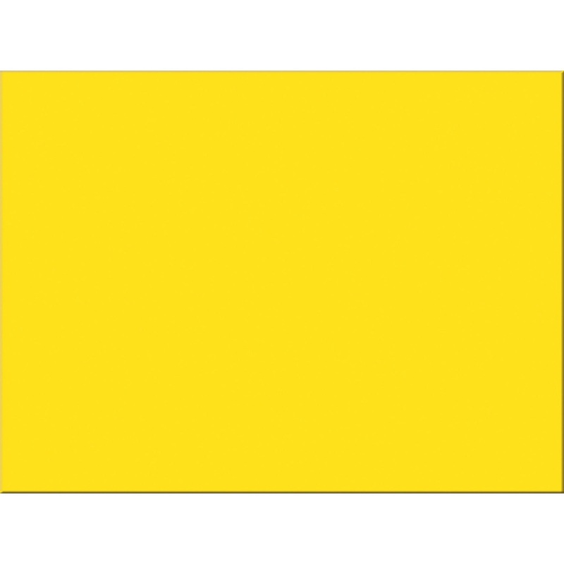 Tru-Ray Construction Paper – PAC103068