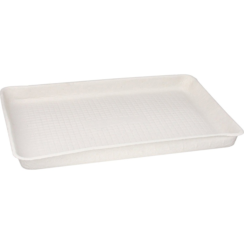 Chinet Flat Tray – HUH20815|No|Chinet