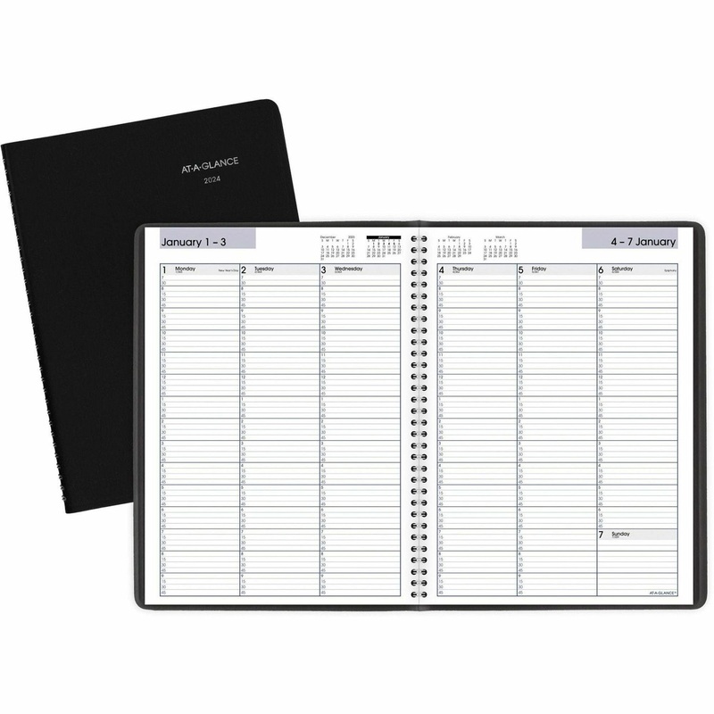 At-A-Glance DayMinder Weekly Appointment Book – AAGG52000