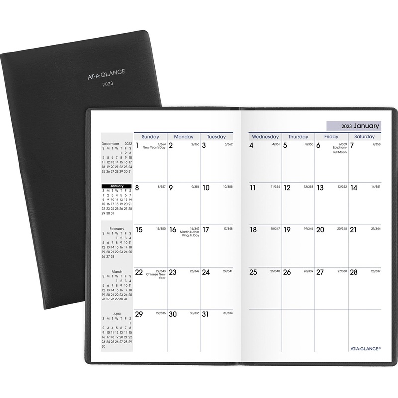 At-A-Glance DayMinder Monthly Pocket Planner – AAGSK5300