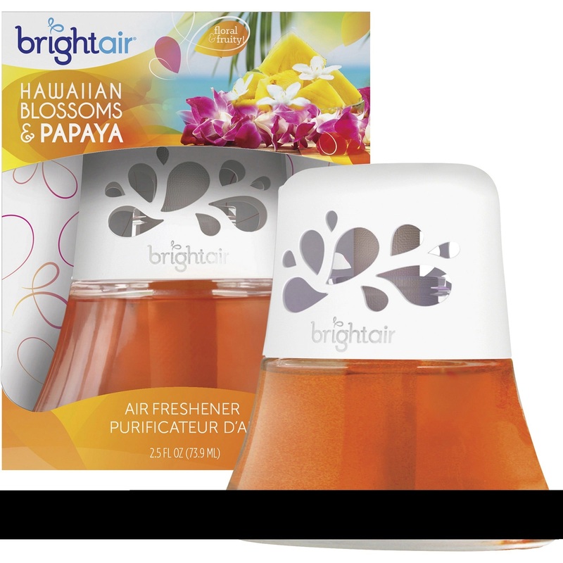 Bright Air Scented Oil Air Freshener – BRI900021