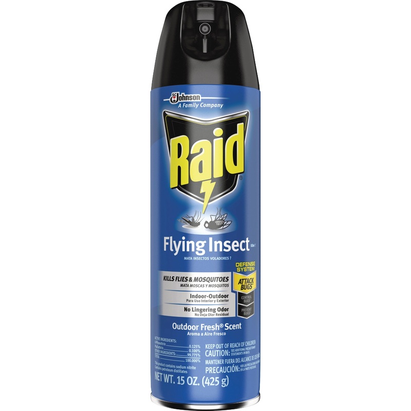 Raid Flying Insect Spray – SJN300816